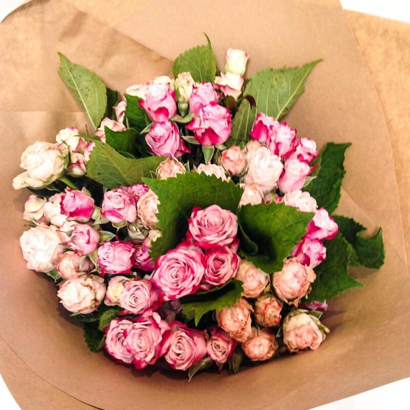 Special Days Hayfever Flowers