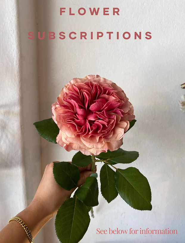 Flower Subscriptions 